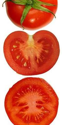 Tomate 